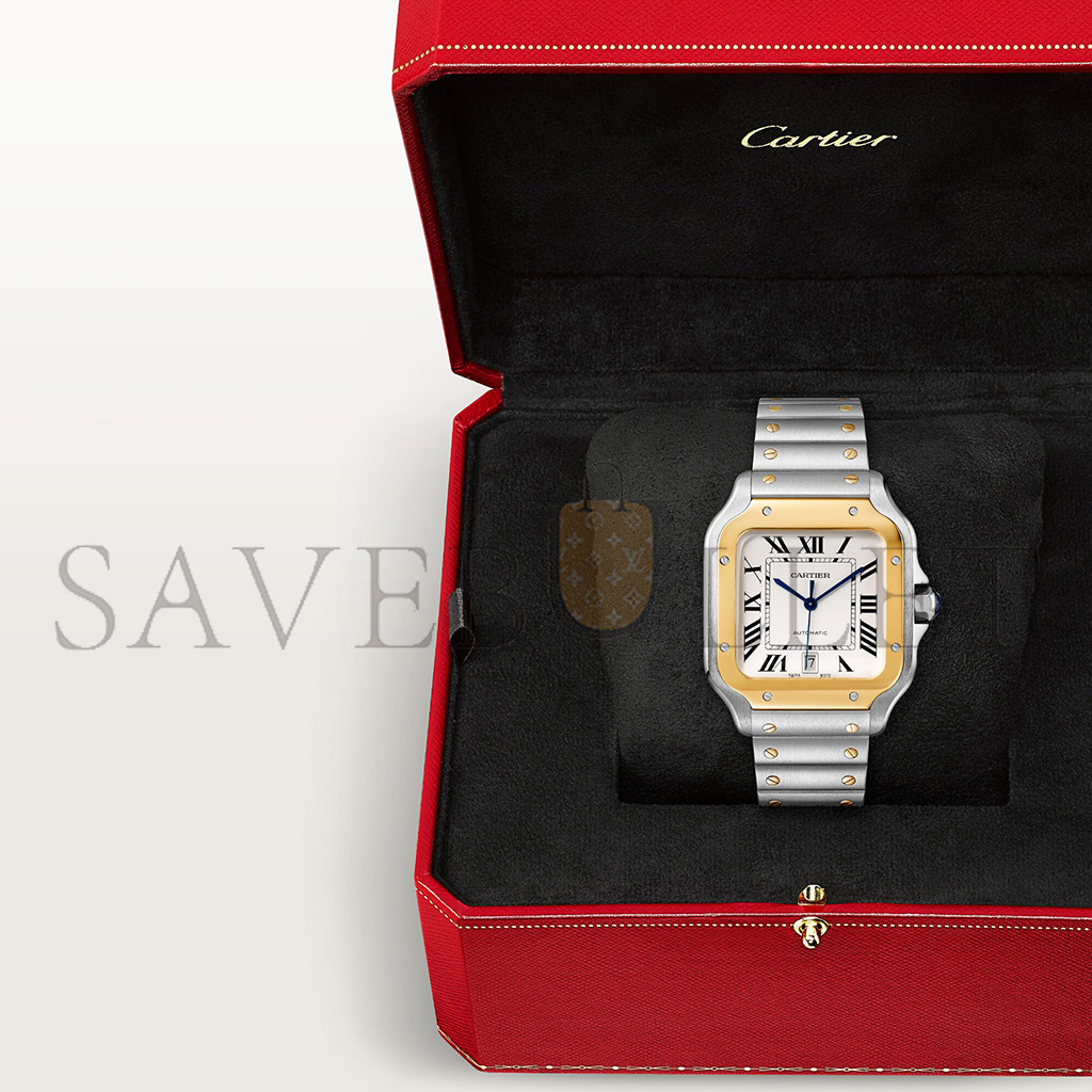 Ca*t*er santos de watch w2sa0009